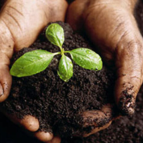 Garden for Homeless