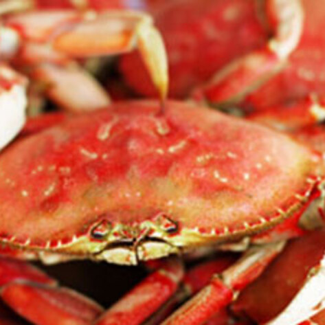 FDA Warns Tyson Foods Plant