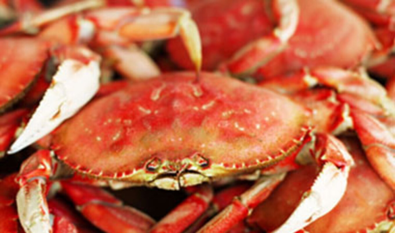 FDA Warns Tyson Foods Plant