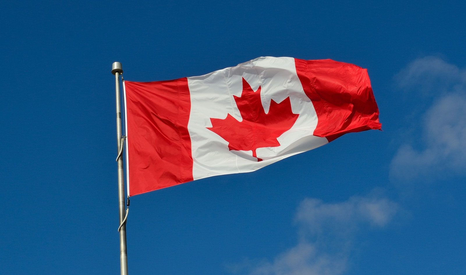 Canada’s Food Guide Officially Pushes Plants Instead of Meat 