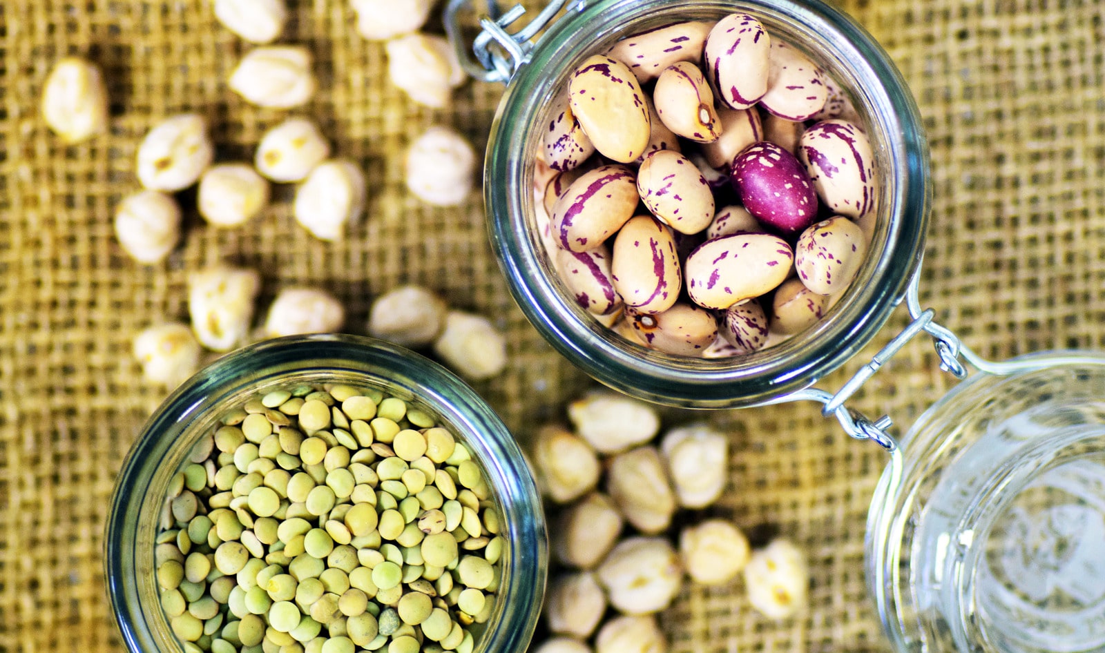 United Nations Recognizes Power of Vegan Protein with New Holiday