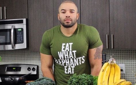 “Eat What Elephants Eat” is More Than Just a Best-Selling T-Shirt; It’s a Mindset 