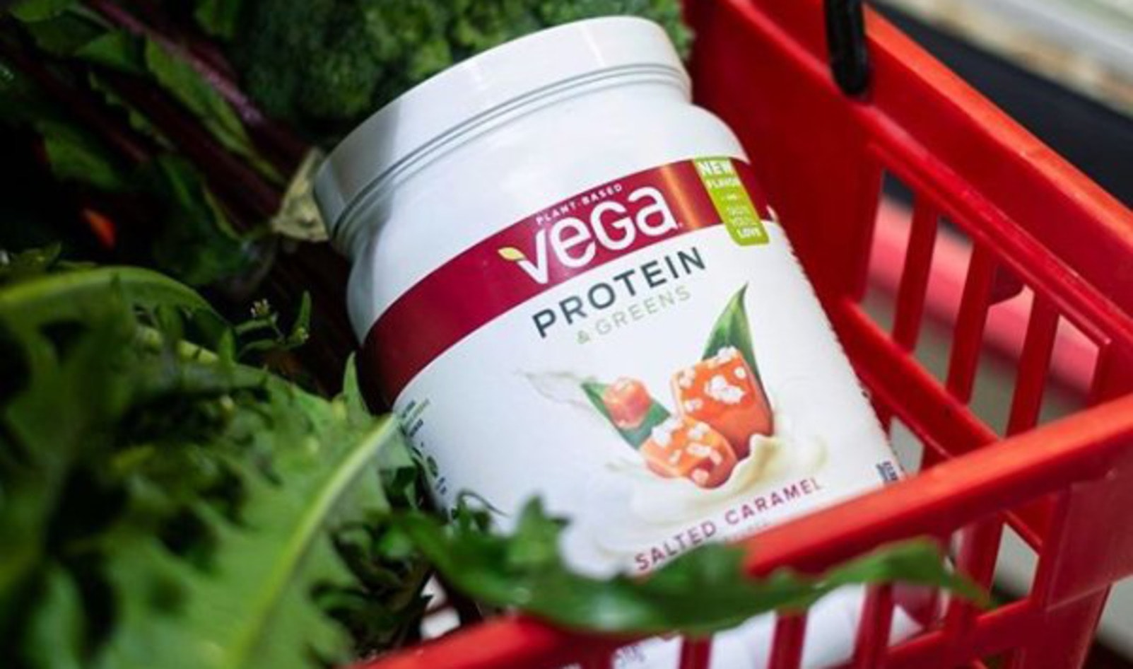 Canada Trusts Vegan Protein Powder Brand Above All Others