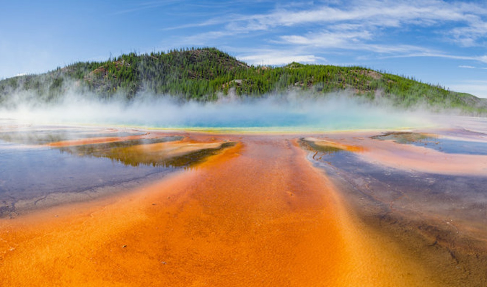 Startup Discovers Groundbreaking Vegan Protein Inside Yellowstone Hot Springs 