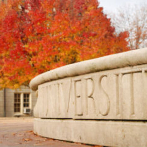 4 Ways to Promote Veganism on College Campuses