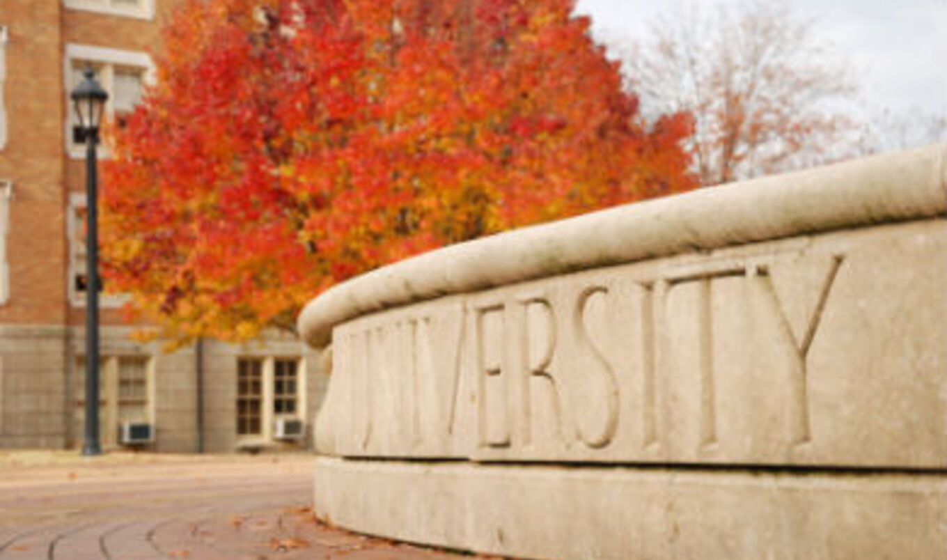 4 Ways to Promote Veganism on College Campuses