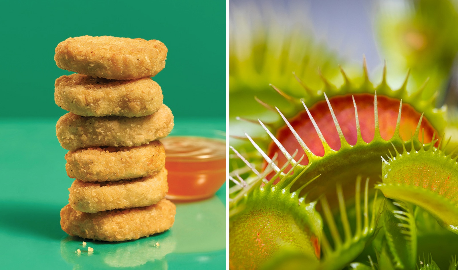 Even Carnivorous Plants Approve Of Beyond Meat’s New Vegan Chicken Nuggets