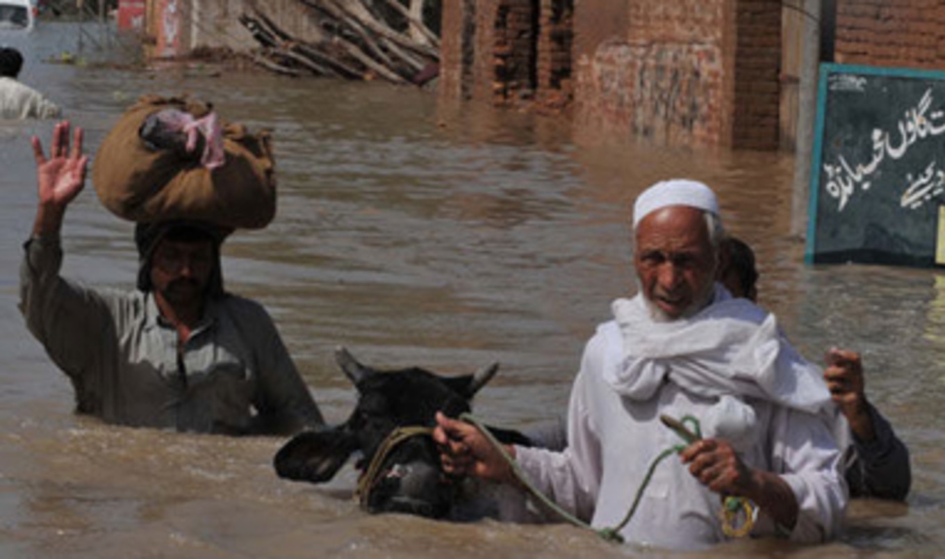 Vets Care in Pakistan