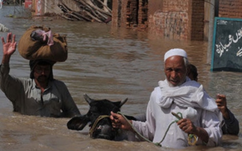 Vets Care in Pakistan