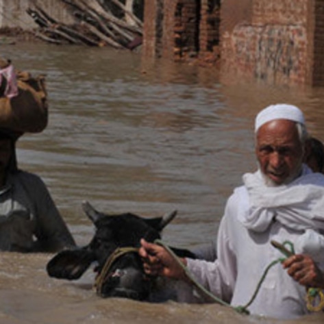 Vets Care in Pakistan