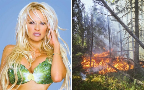 Pamela Anderson Sends 10,000 Vegan Kits to Offset Methane in Wildfire Stricken Cities&nbsp;