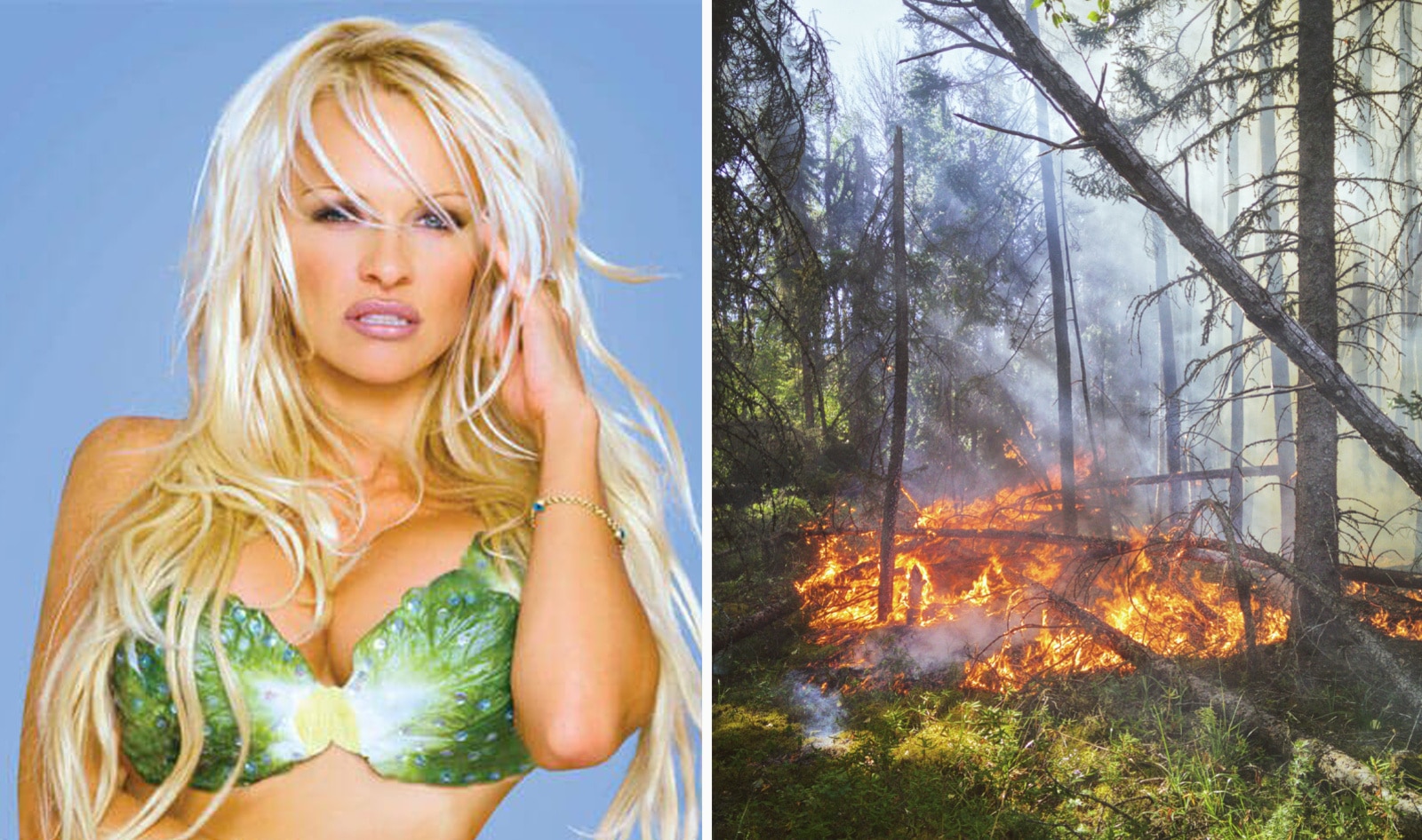 Pamela Anderson Sends 10,000 Vegan Kits to Offset Methane in Wildfire Stricken Cities&nbsp;