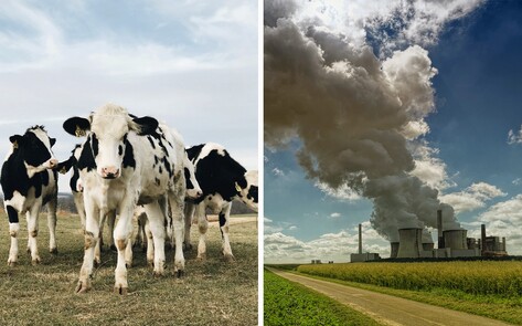We Can Slash Carbon Emissions by 90 Percent by 2035. But Government Subsidies for Animal Agriculture Must End First.&nbsp;