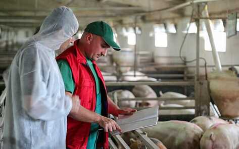 This Organization Aims to Help 700,000 Workers Transition Away from Animal Agriculture 