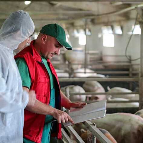 This Organization Aims to Help 700,000 Workers Transition Away from Animal Agriculture 