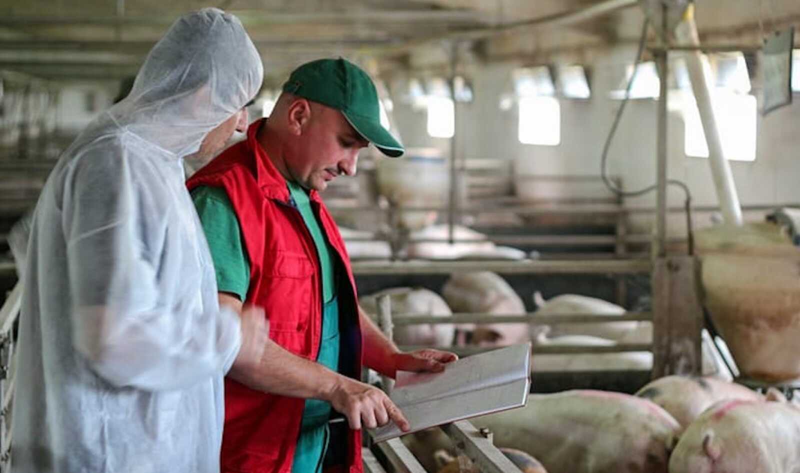 This Organization Aims to Help 700,000 Workers Transition Away from Animal Agriculture 