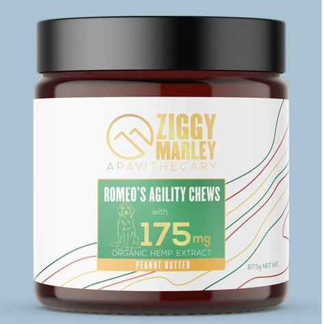 Ziggy Marley Just Launched "Apawthecary," a Vegan CBD Line for Dogs