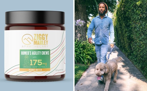 Ziggy Marley Just Launched "Apawthecary," a Vegan CBD Line for Dogs