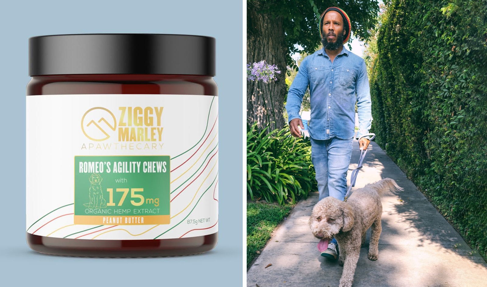 Ziggy Marley Just Launched "Apawthecary," a Vegan CBD Line for Dogs