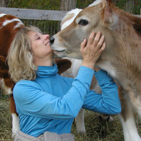 Sanctuary Stories from <i>Animal Camp</i>