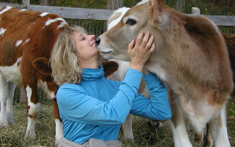 Sanctuary Stories from <i>Animal Camp</i>