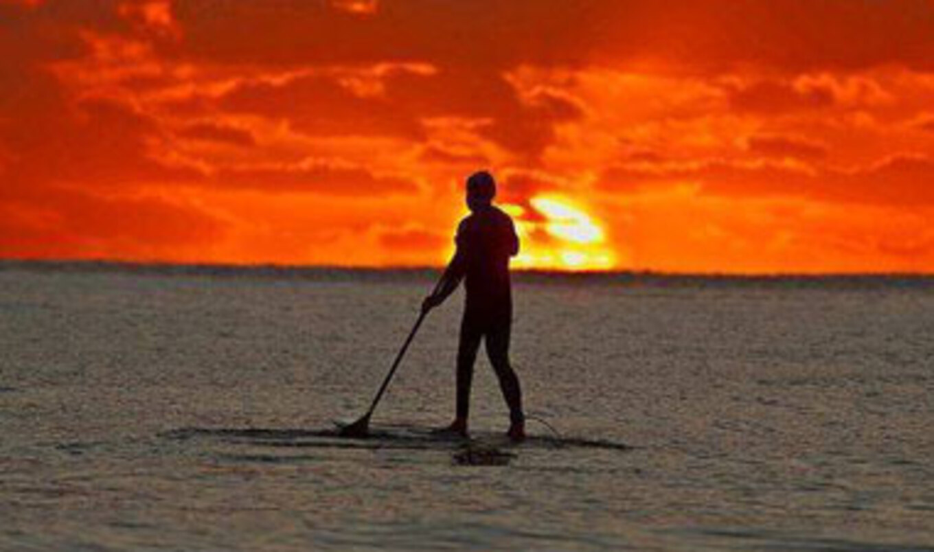 Stand-Up Paddle for Animals