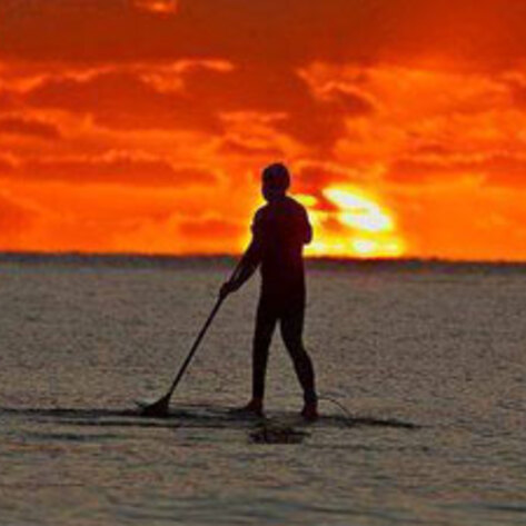 Stand-Up Paddle for Animals