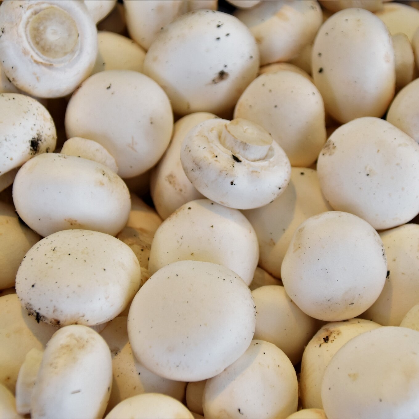 VegNews.Mushrooms