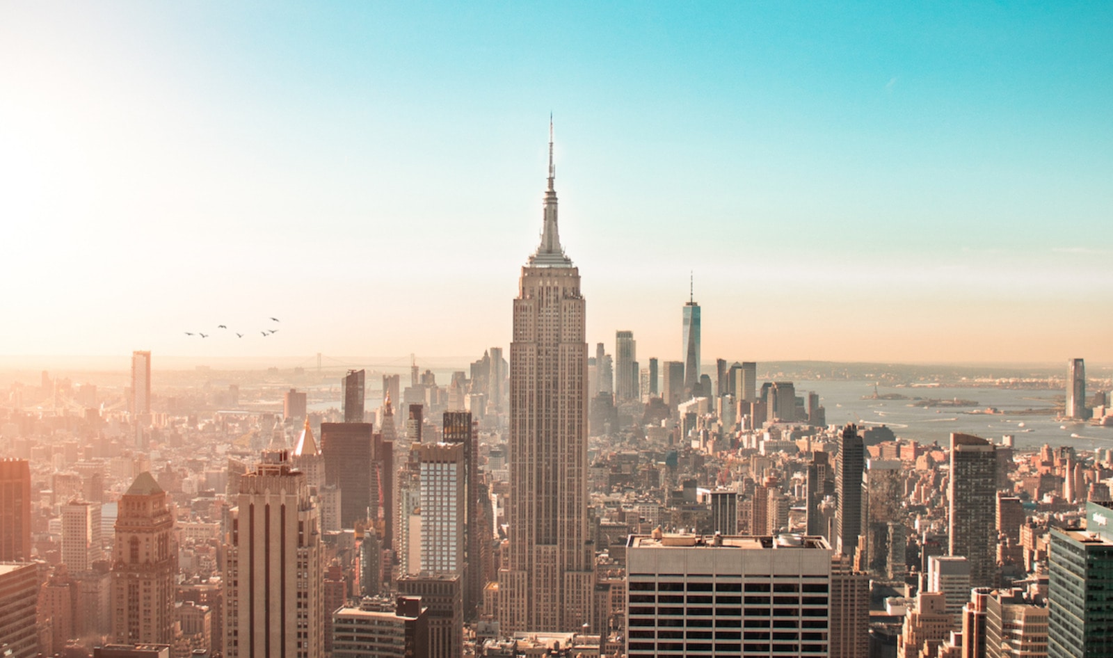 For 13 Years, New York's Climate Conference Has Avoided the Subject of Meat. This Year, That's Changing.