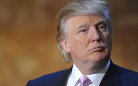 Veg Contestant on <i>The Apprentice</i>