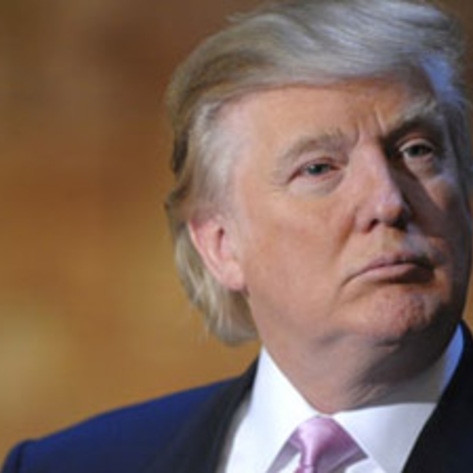 Veg Contestant on <i>The Apprentice</i>