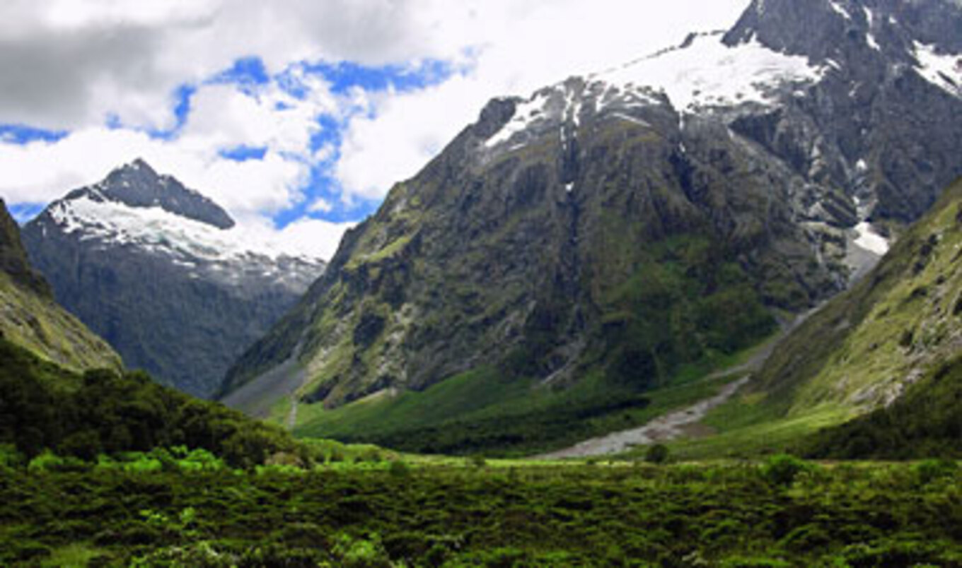 Veg Diet: 30 Percent Fewer Greenhouse Emissions