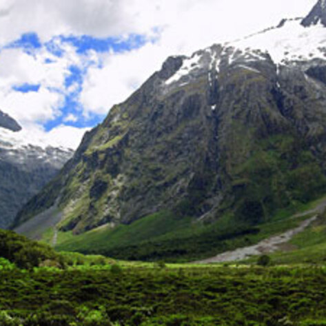 Veg Diet: 30 Percent Fewer Greenhouse Emissions