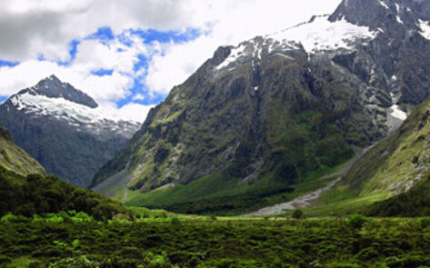 Veg Diet: 30 Percent Fewer Greenhouse Emissions