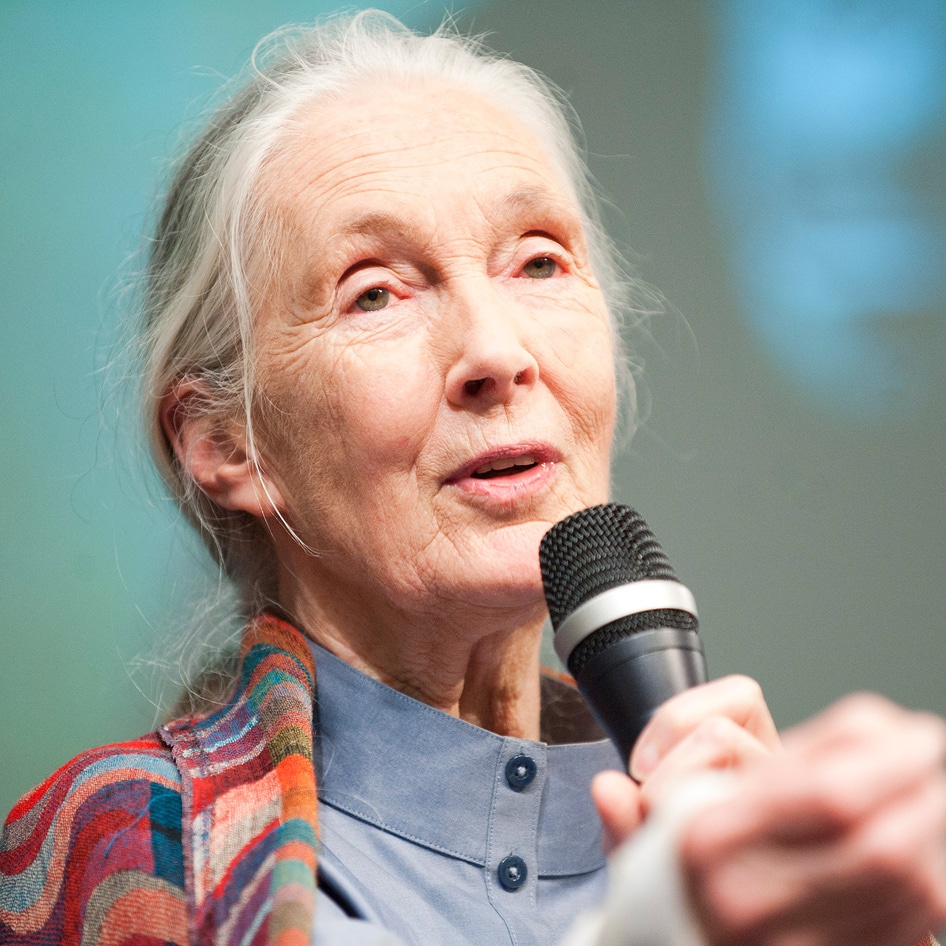 Jane Goodall Has Fought to Save the Planet for 60 Years. Why Her Next Project Is About Cultivated Meat.