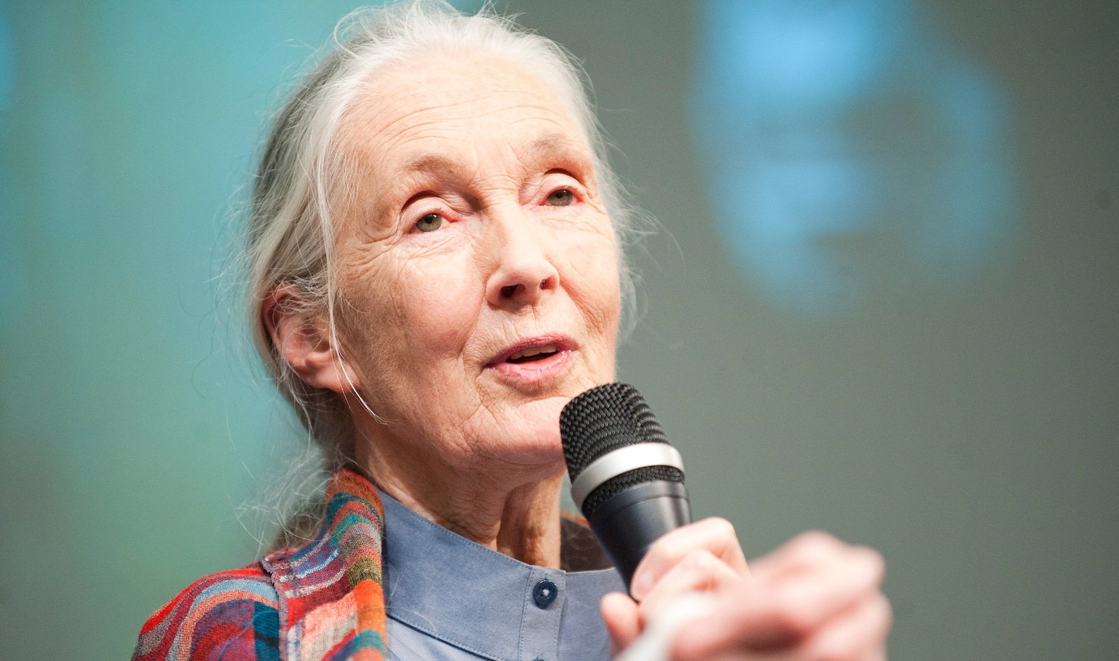 Jane Goodall Has Fought to Save the Planet for 60 Years. Why Her Next Project Is About Cultivated Meat.