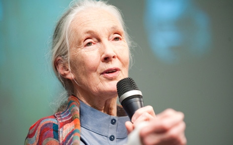 Jane Goodall Has Fought to Save the Planet for 60 Years. Why Her Next Project Is About Cultivated Meat.
