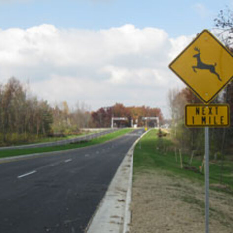 California Roadkill Database