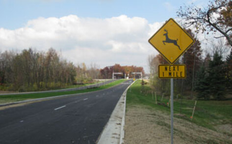 California Roadkill Database