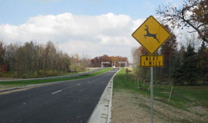 deervnd