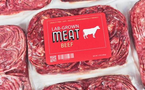 The USDA Just Invested $10 Million in Lab-Grown Meat
