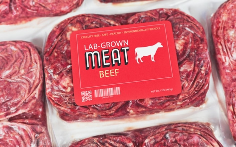 The USDA Just Made Its First Investment in Lab-Grown Meat