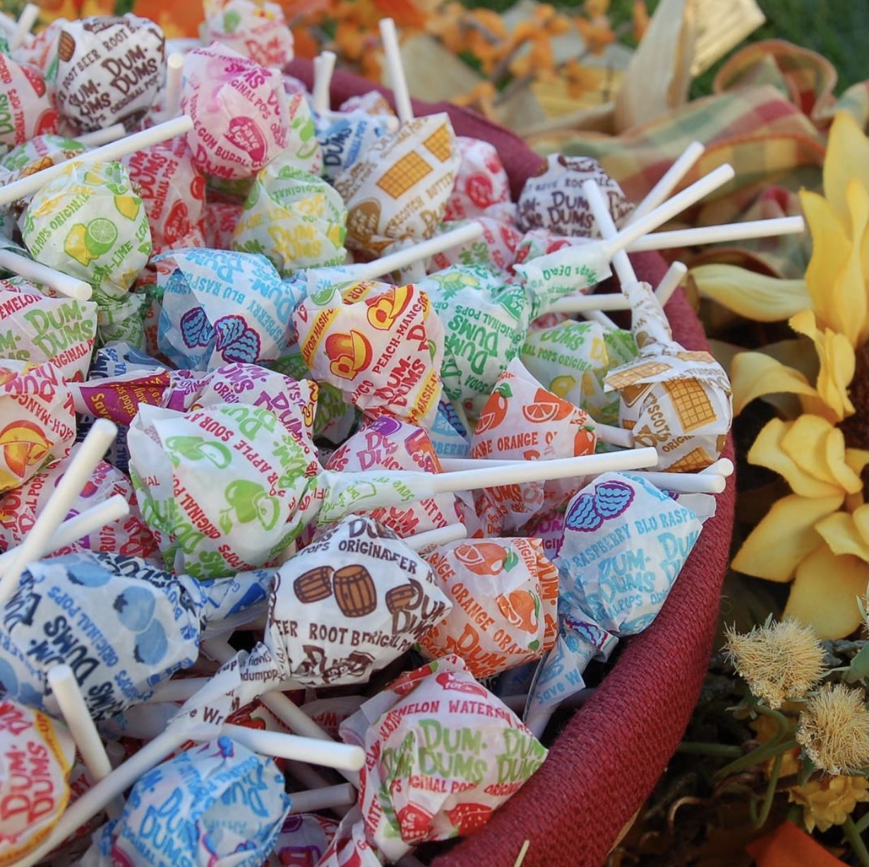 VegNews.DumDums