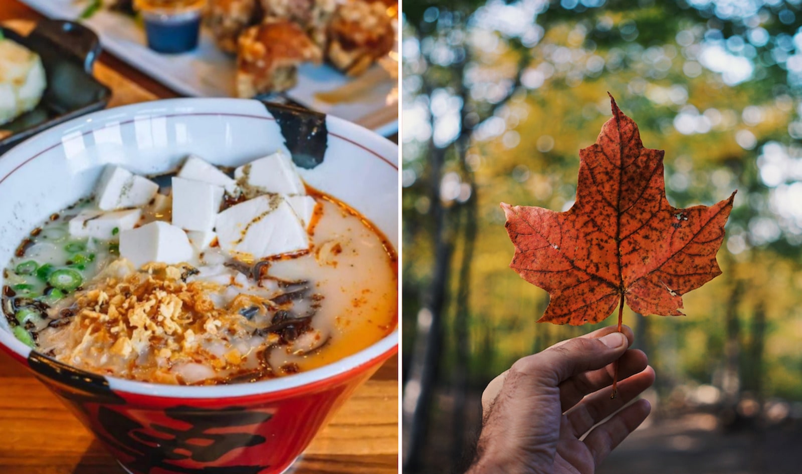 A Local's Guide to the 11 Best Vegan Spots in Calgary 