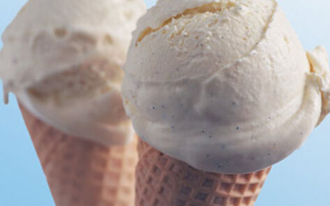 Sisters Make Vegan Ice Cream