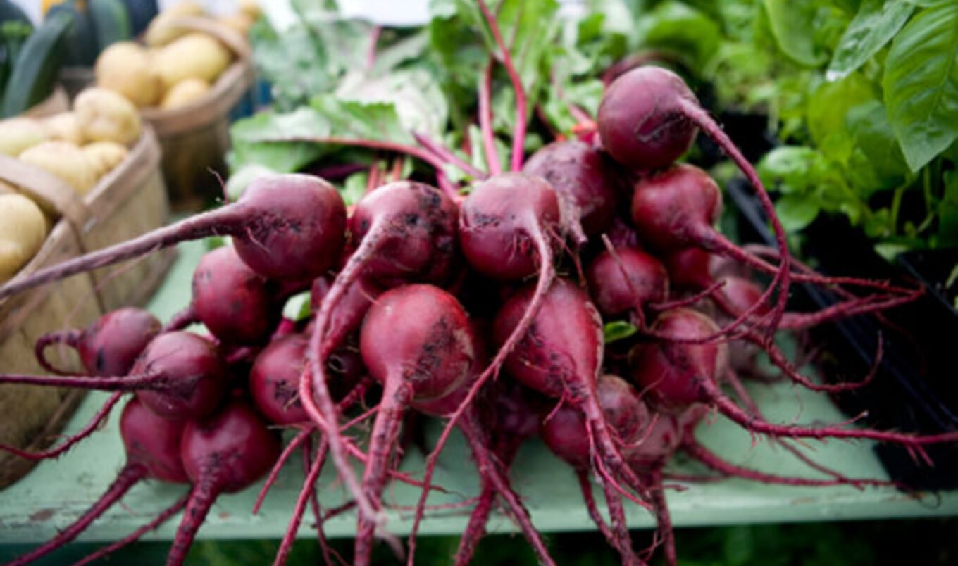 Early Fall Foods to Enjoy Before First Frost