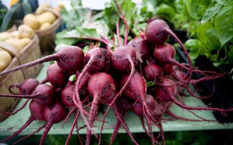 Early Fall Foods to Enjoy Before First Frost