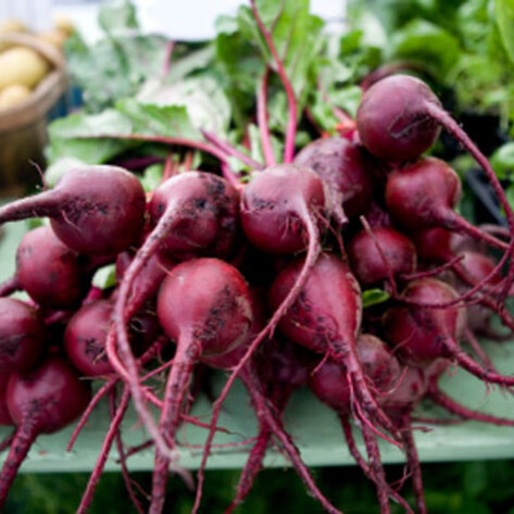 Early Fall Foods to Enjoy Before First Frost