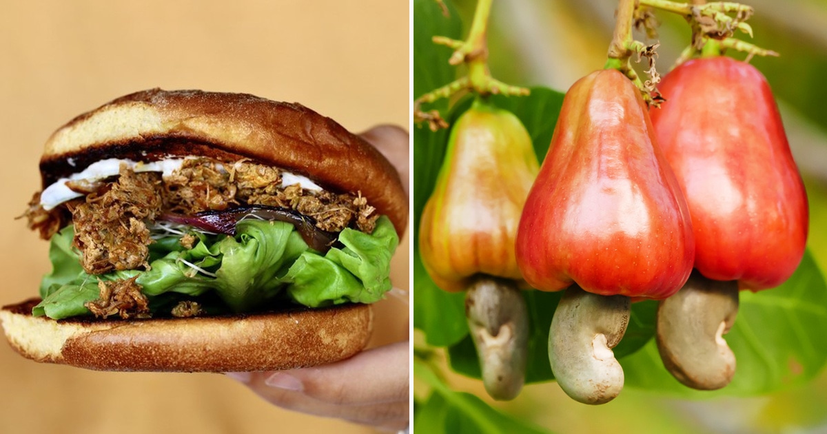 Why This Hawaiian Startup Is Making Vegan Meat from Cashew Industry