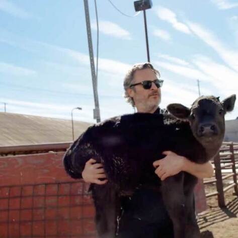 Joaquin Phoenix Rescues Cow and Her Week-Old Calf from Slaughterhouse 